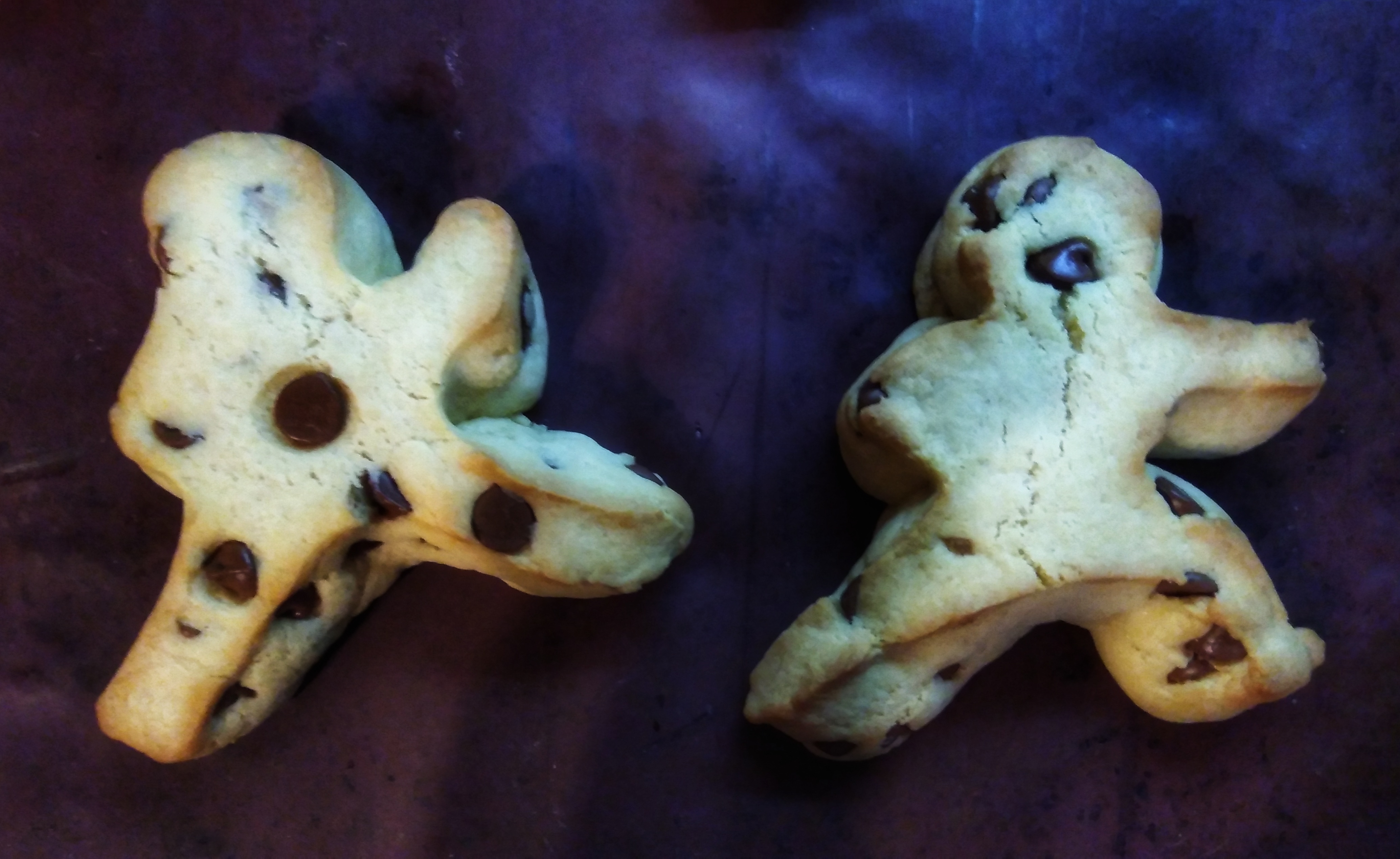 Ninja Cookies